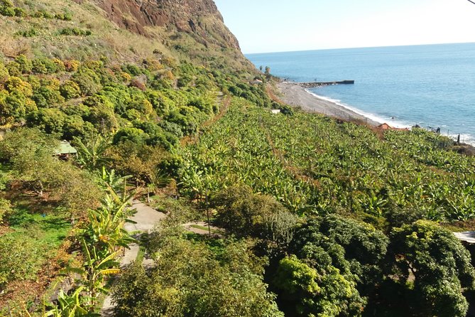 Fajã Dos Padres Organic Farm Tour With Cable Car Ticket  - Madeira - Last Words