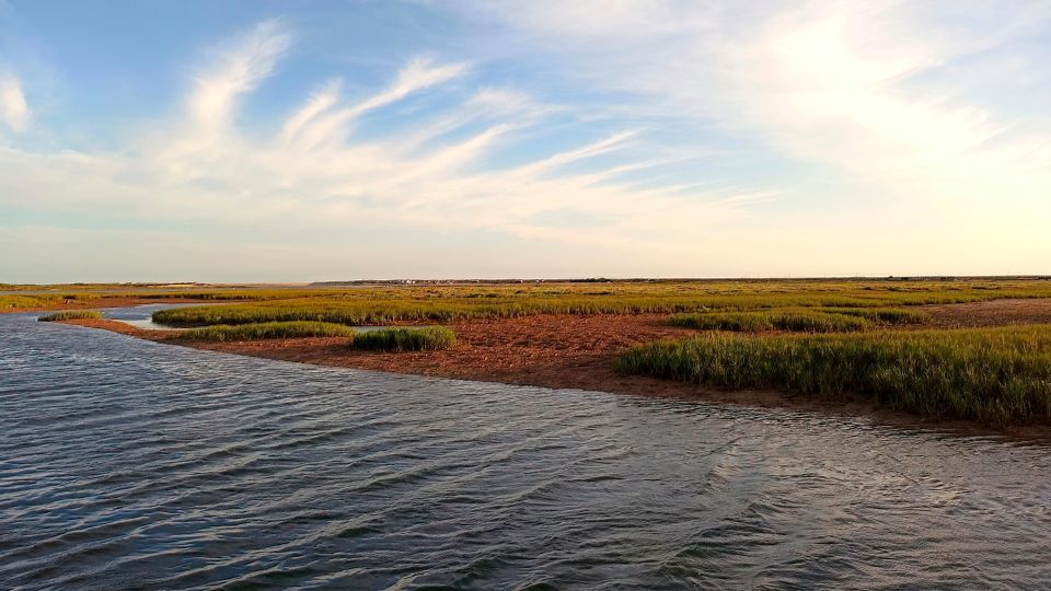 Faro: Ria Formosa Catamaran Tour - Directions