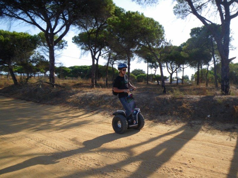 Faro: Ria Formosa Natural Park Segway Tour & Birdwatching - Reviews on Guide, Transportation, and Service