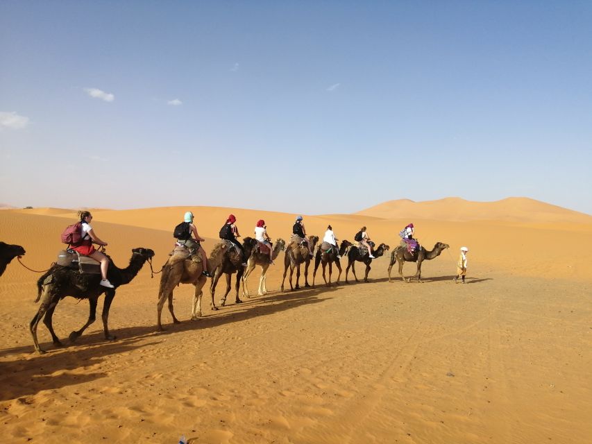 Fes: Merzouga Desert 2-Day Tour - Common questions