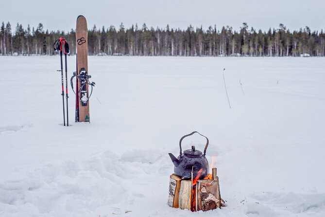 First Arctic Expedition on Altai Skis - Last Words