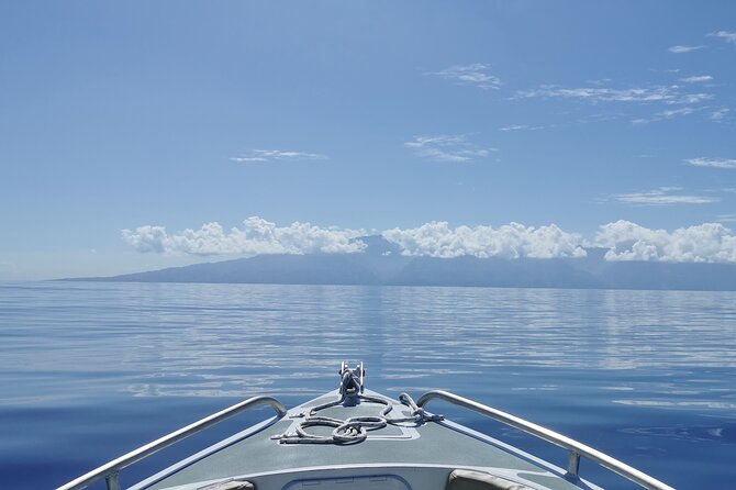 Fishing on a Private Boat off the West Coast of Tahiti - Booking Information and Availability