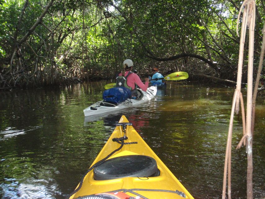 Florida Keys: Key West Kayak Eco Tour With Nature Guide - Tour Itinerary