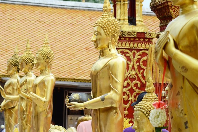 Follow Monks Trails Hiking & Alms Offering Doi Suthep - Reviews and Ratings