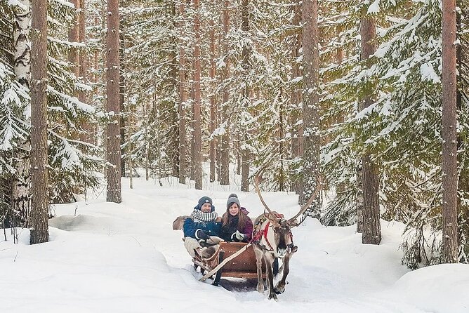 Forest Trail Reindeer Safari - Common questions