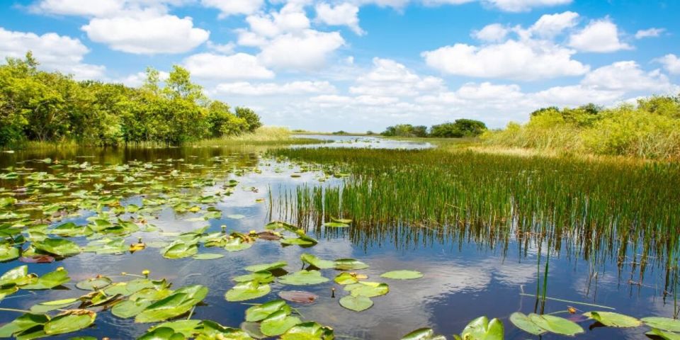 Fort Lauderdale: Everglades Express Tour With Airboat Ride - Last Words