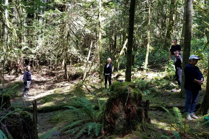 Francis King Regional Park Forest Bathing  - Vancouver Island - Copyright and Terms