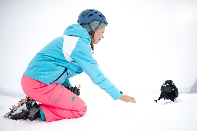 Freysnes Small-Group Half-Day Glacier Hike With Photos  - Hofn - Questions & Support