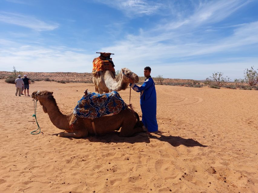 From Agadir: 44 Jeep Sahara Desert Tour With Lunch - Return Journey