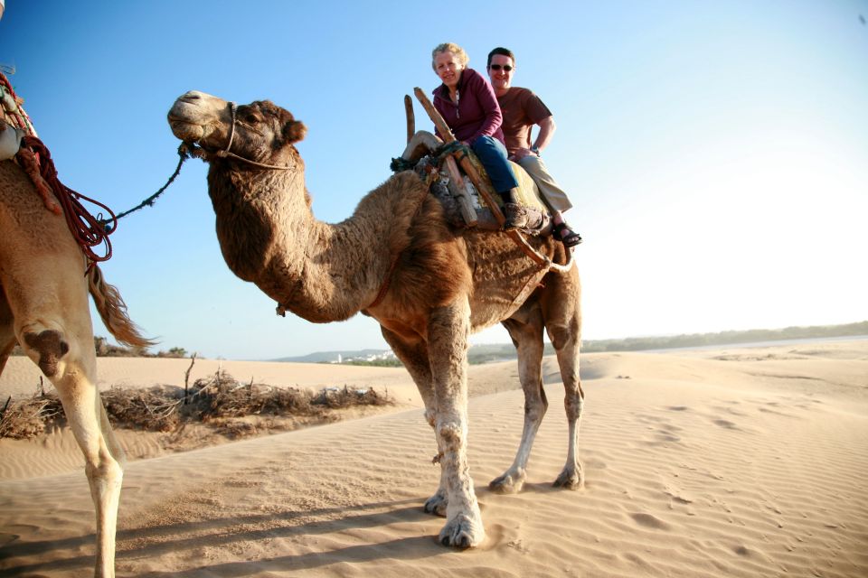 From Agadir: Camel Ride and Flamingo Trek - Free Cancellation Policy