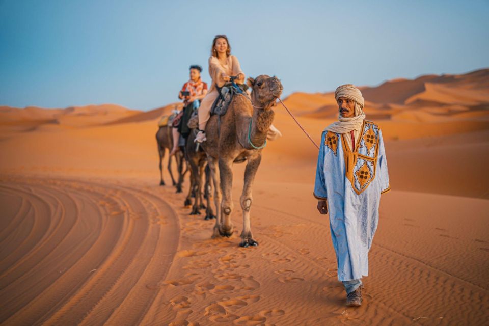 From Agadir: Camel Ride and Flamingo Trek - Benefits of Camel Ride