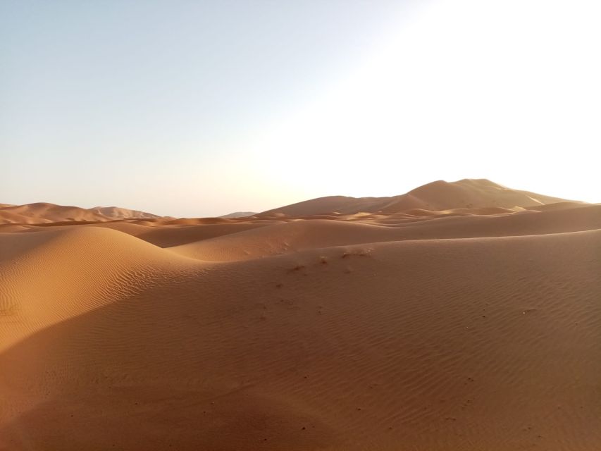 From Agadir or Taghazout: 2-Day Sahara Desert Tour to Zagora - Departure Options