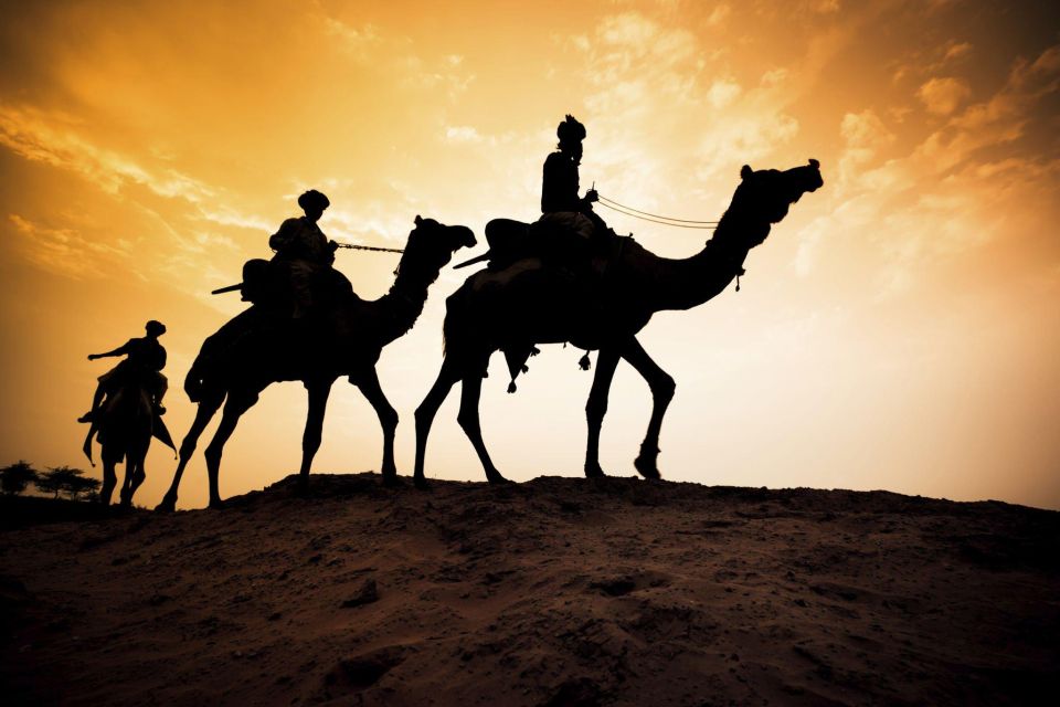 From Agadir or Taghazout: Camel Ride and Flamingo River Tour - Directions