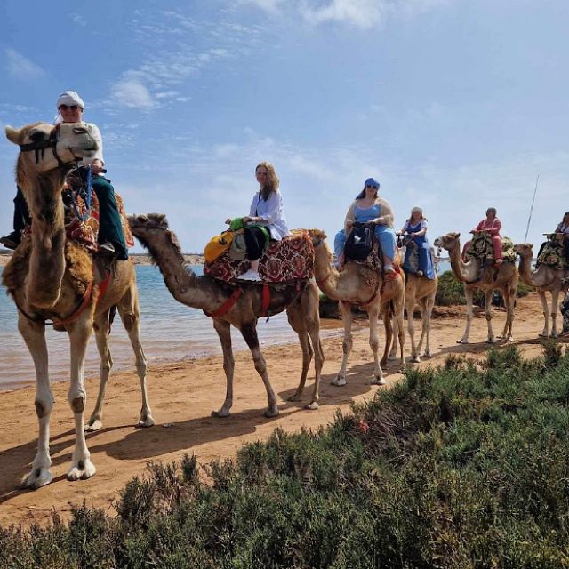 From Agadir or Taghazout: Flamingo River Camel Ride & Tea - Directions