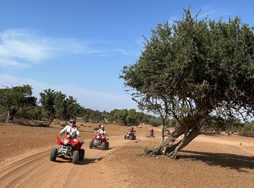 From Agadir or Taghazout : Sand Dunes Quad Bike Tour - Souss-Massa National Park Visit