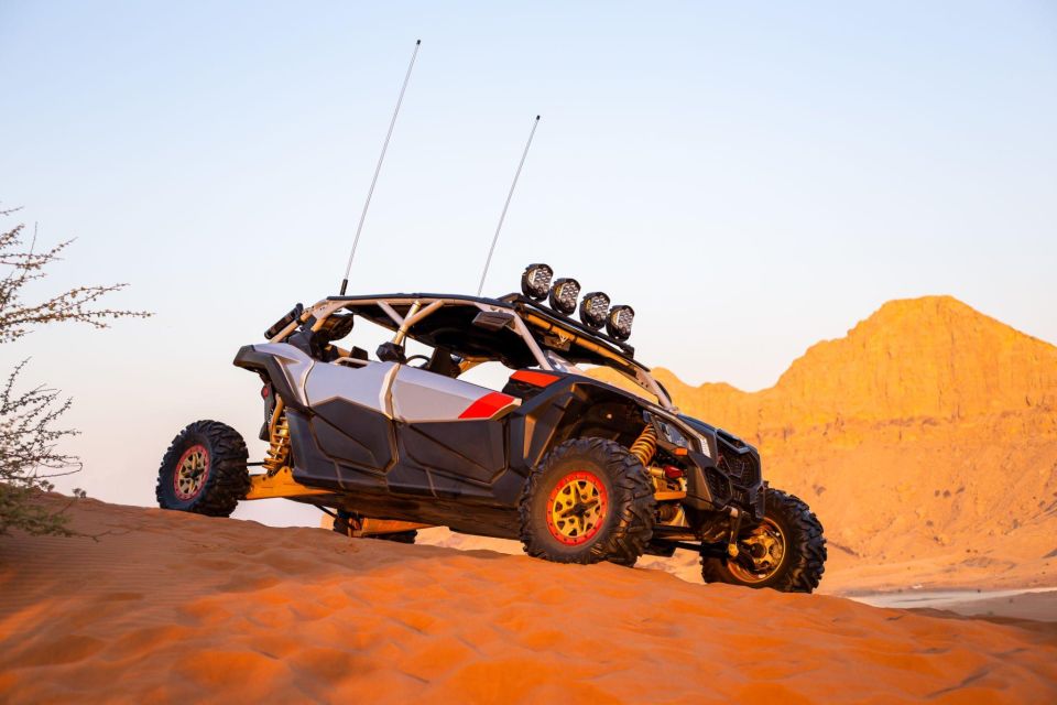 From Agadir: Sahara Desert Buggy Tour With Snack & Transfer - Language Options and Guides