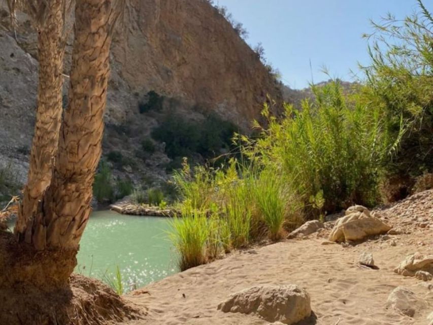 From Agadir: Secret Paradise and Timlalin Dunes Tour - Last Words