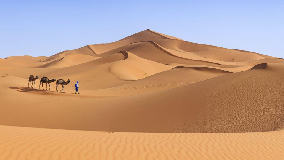From Agadir/Taghazout: Sahara Sand Dunes With Transfer - Trip Duration