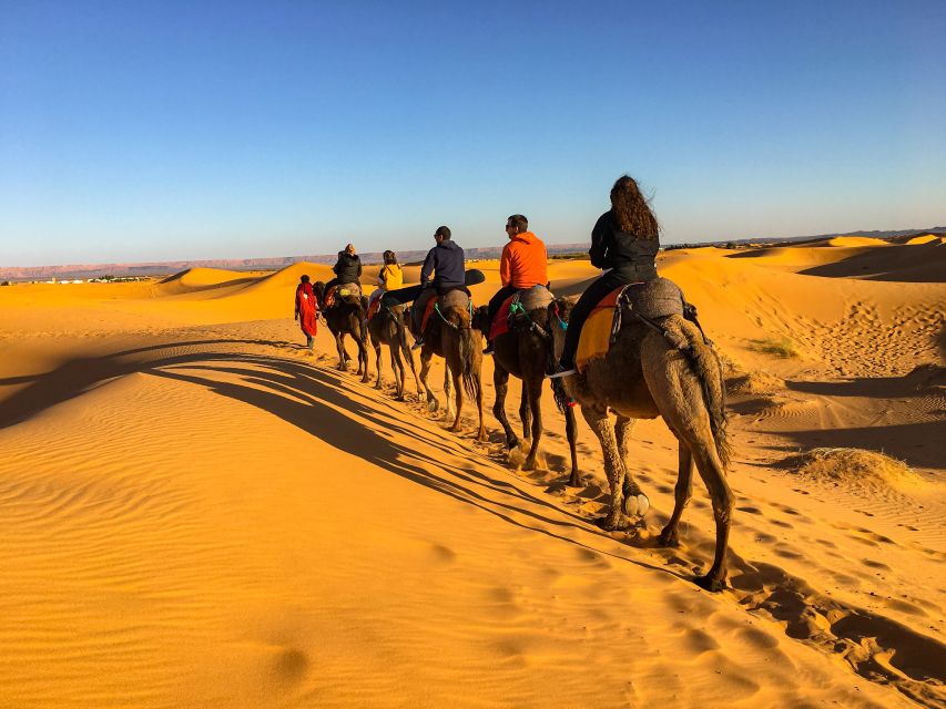 From Agadir/Taghazout: Sahara Sand Dunes With Transfer - What to Bring