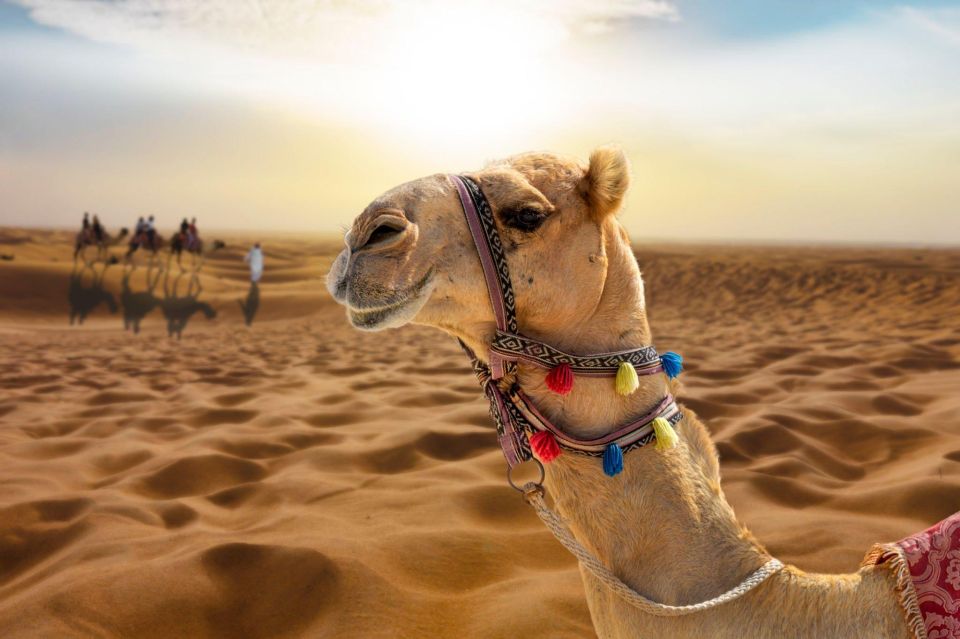 From Agadir/Taghazout: Sahara Sand Dunes With Transfer - Additional Information