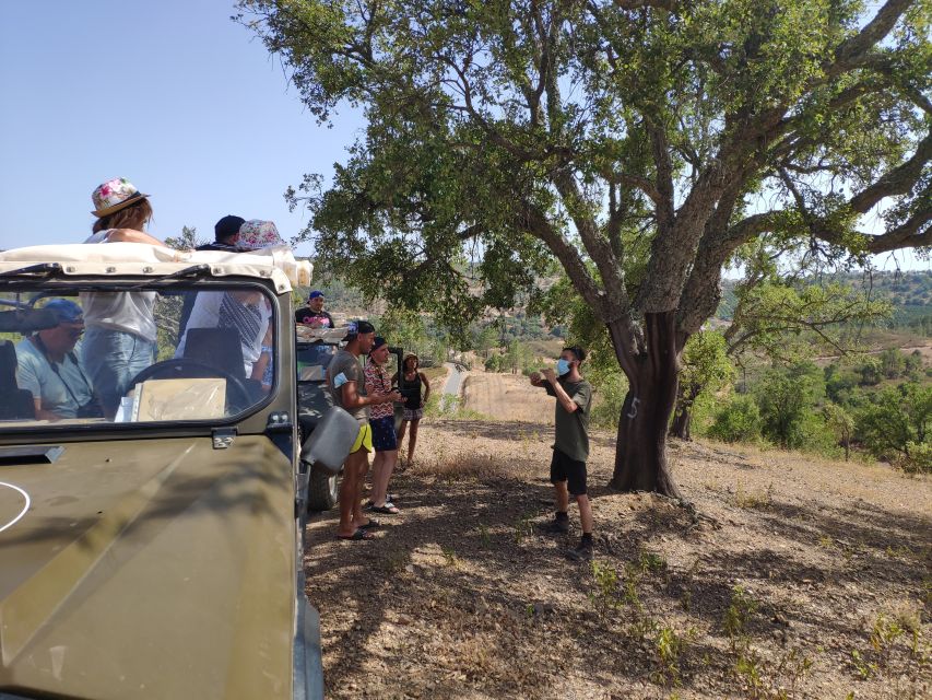 From Albufeira: Algarve Sunset Jeep Safari With Wine - Last Words