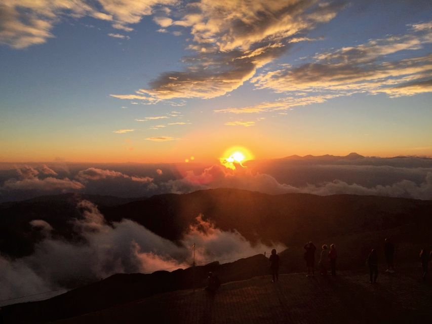 From Antalya or Kemer: Olympos Cable Car Ticket - Summit Views and Wildlife