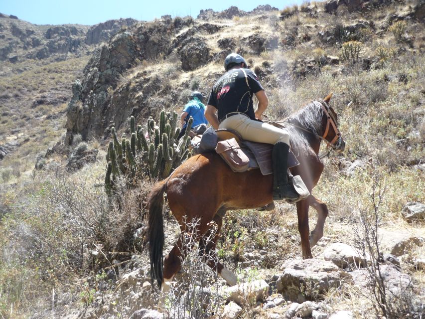 From Arequipa: Colca Valley/Canyon 2-Day Tour & Horse Riding - Booking Process and Flexibility