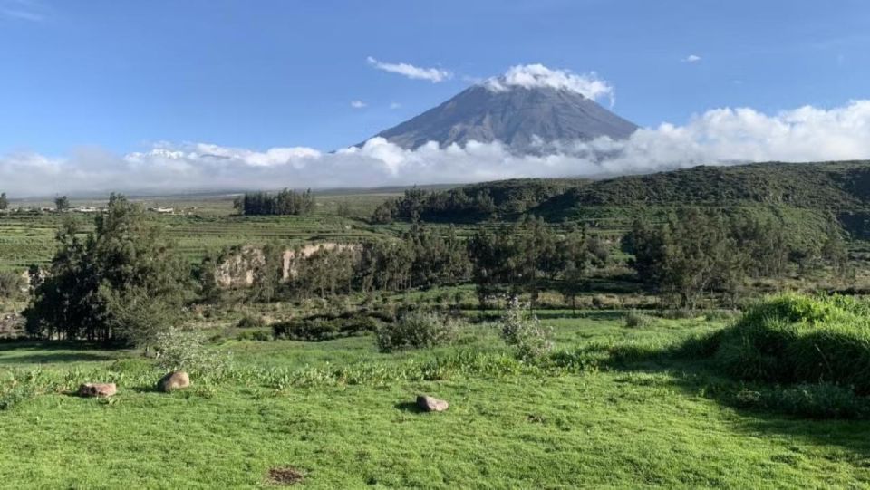 From Arequipa: Excursion to Salinas Lagoon - Salinas Lagoon Exploration