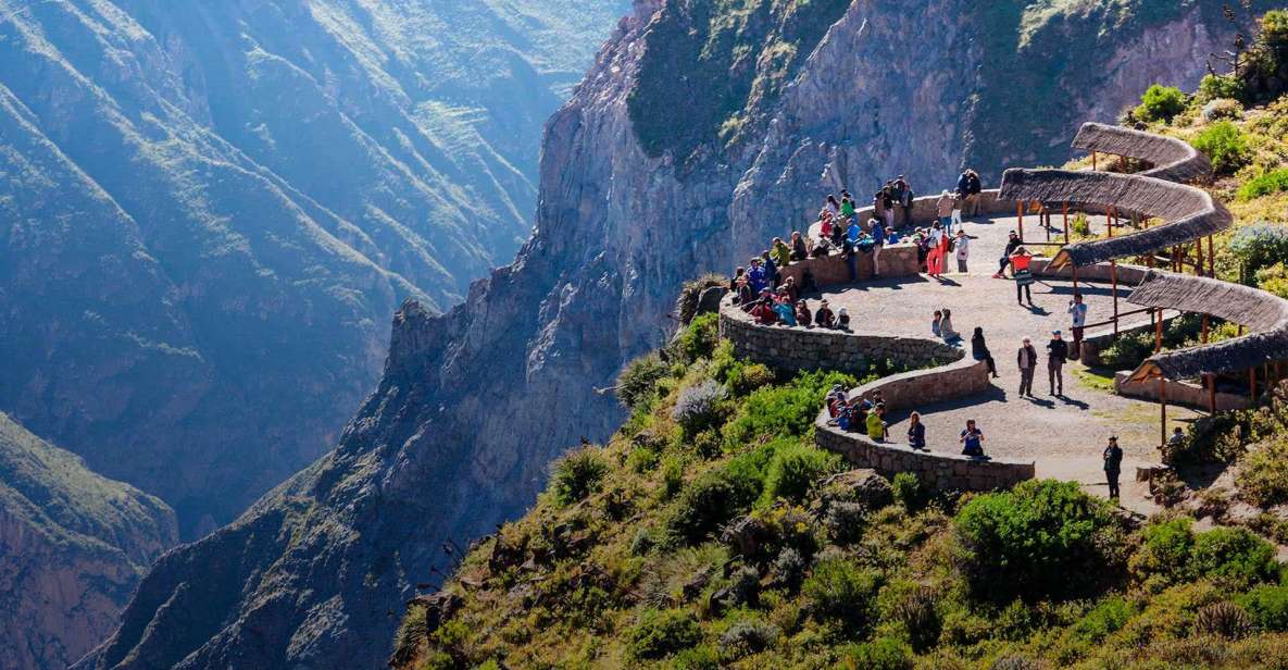 From Arequipa: Excursion to the Colca Canyon Ending in Puno - Booking Information