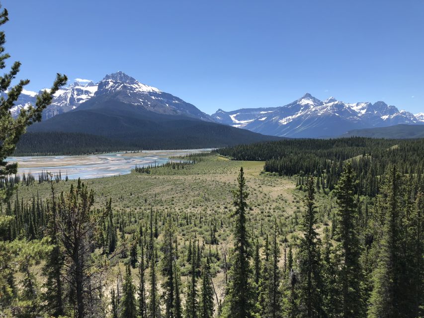 From Banff: Icefield Parkway Scenic Tour With Park Entry - Key Points