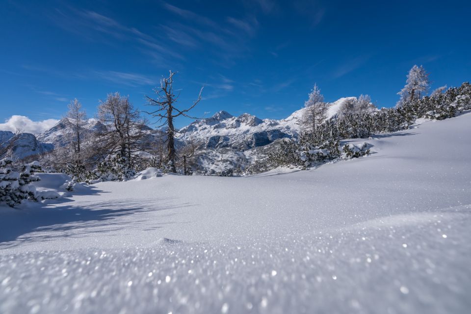 From Bled: Day Trip to Julian Alps & Hiking With Local Guide - Free Cancellation Policy