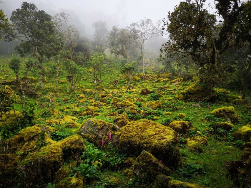 From Bogota: Hike to Colombia's Highest Waterfall - Trail Information