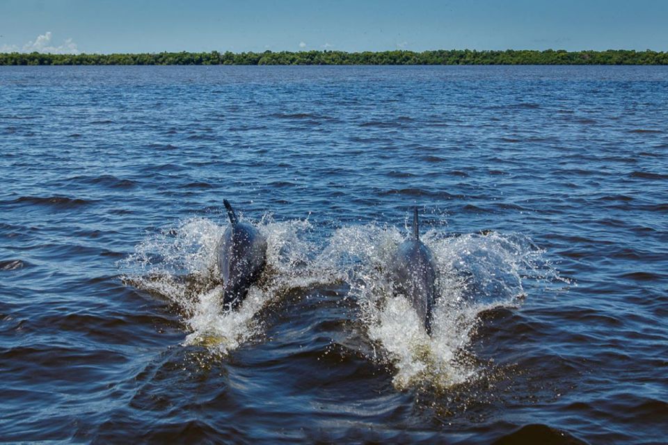 From Campeche: Mamantel River Tour - Last Words