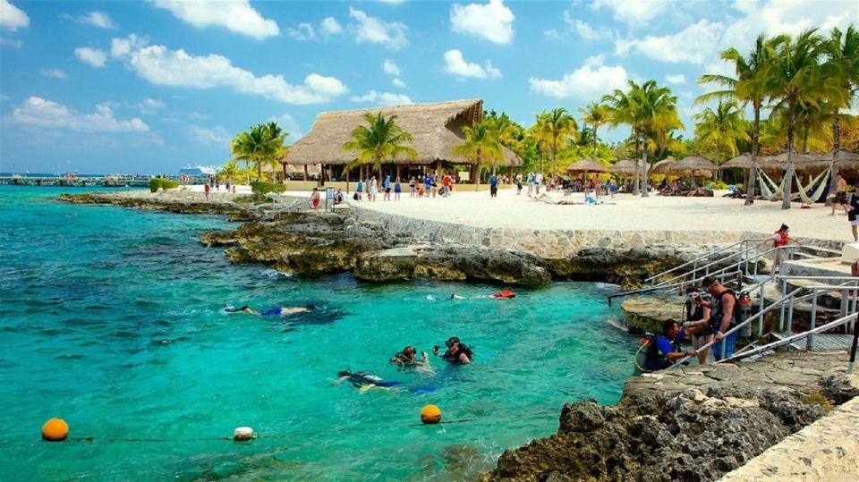 From Cancun and Riviera Maya: Cozumel Snorkeling Tour - Common questions