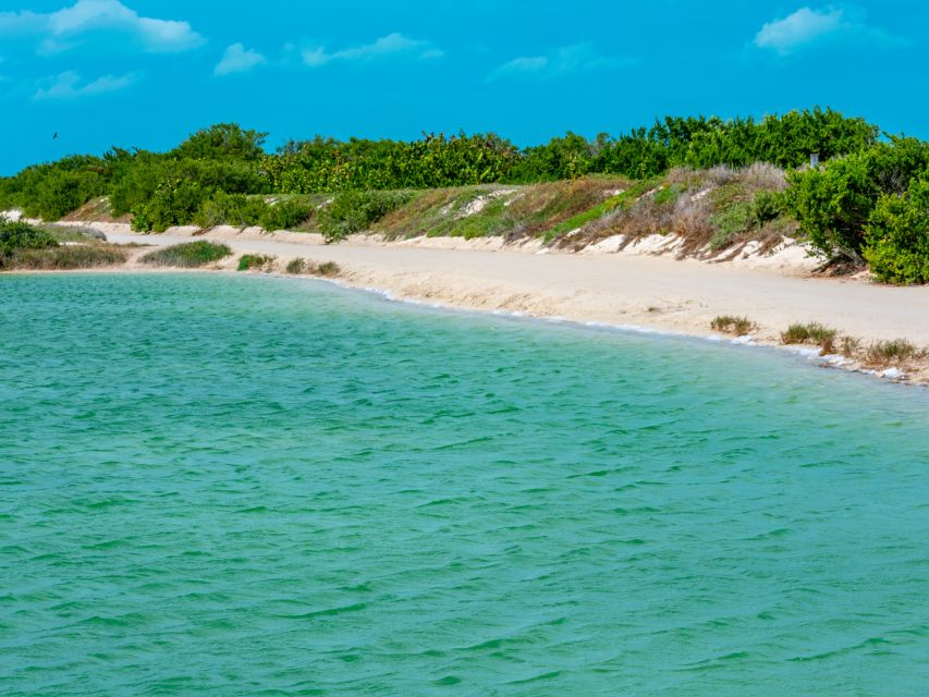 From Cancun: Las Coloradas and Río Lagartos Day Tour - Location and Activities Included