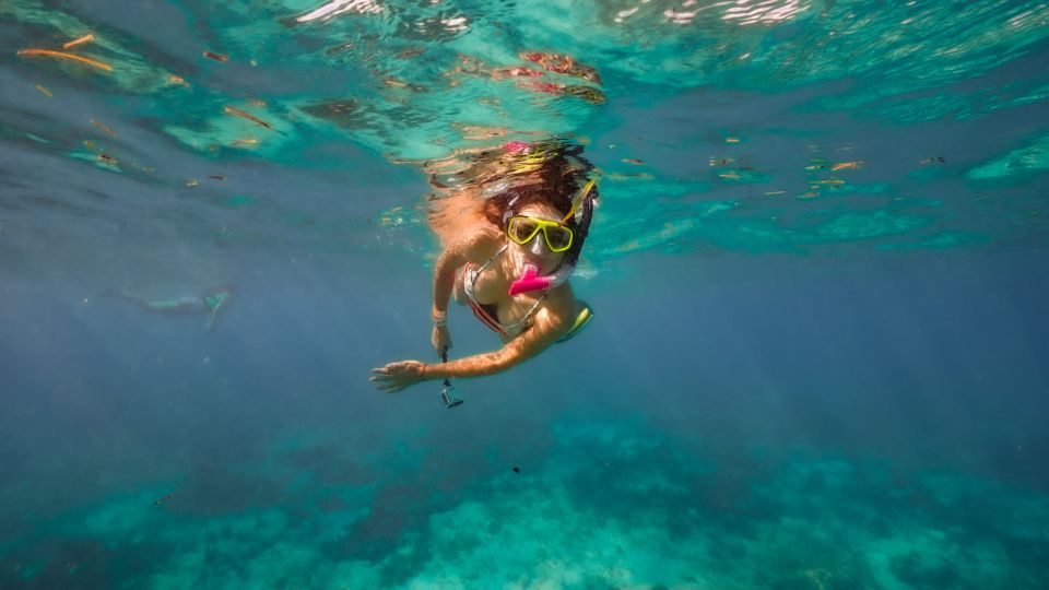From Cancun or Riviera Maya: Isla Contoy & Isla Mujeres Trip - Background