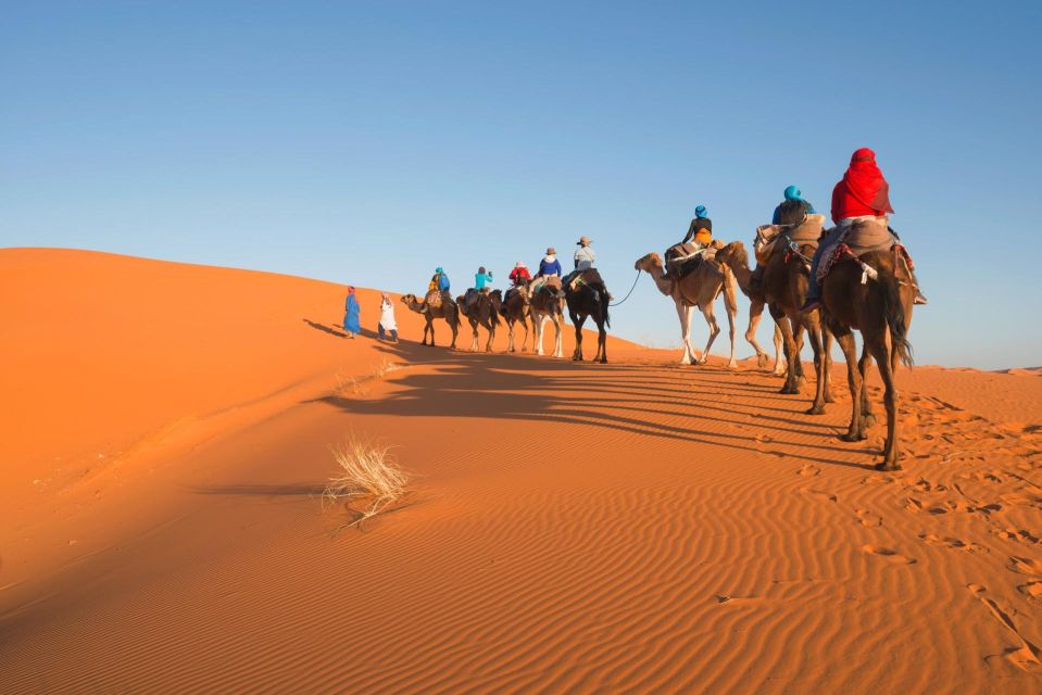 From Casablanca: 8 Days Chefchaouen, Fes & Desert Adventure - Transportation and Accommodation Details