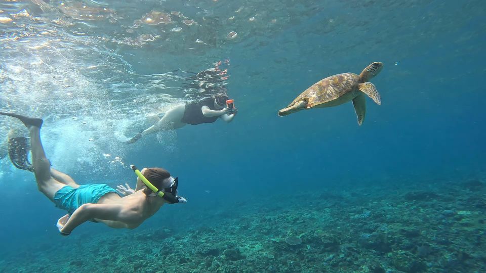 From Ceningan: Snorkeling With Turtle Experience - Expert Guides and Photography