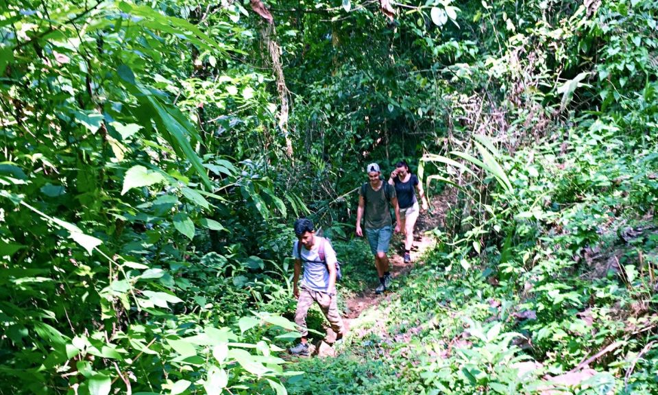 From Chiang Mai: High Mountain Day Trek - Common questions