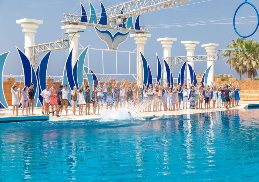 From City of Side/Alanya: Sealanya Dolphin Show W/ Transfers - Show Schedule and Duration