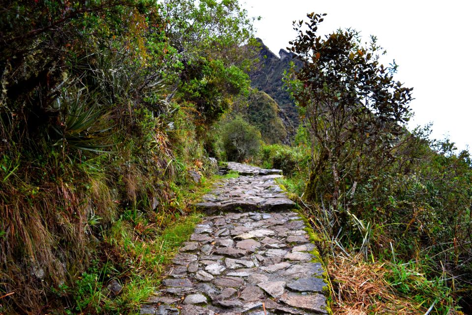 From Cusco: 7-Day Trek to Machu Picchu Through Inca Trail - Recommendations
