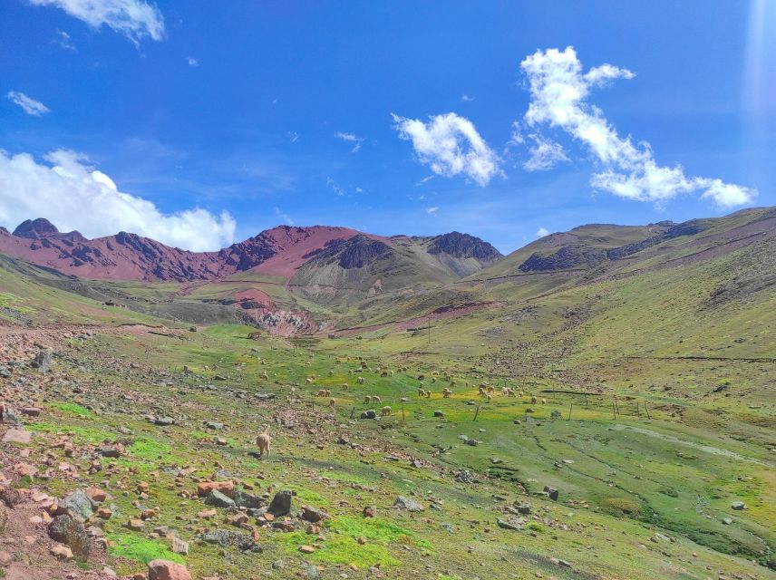 From Cusco: Adventure to Rainbow Mountain(ATV) - Common questions