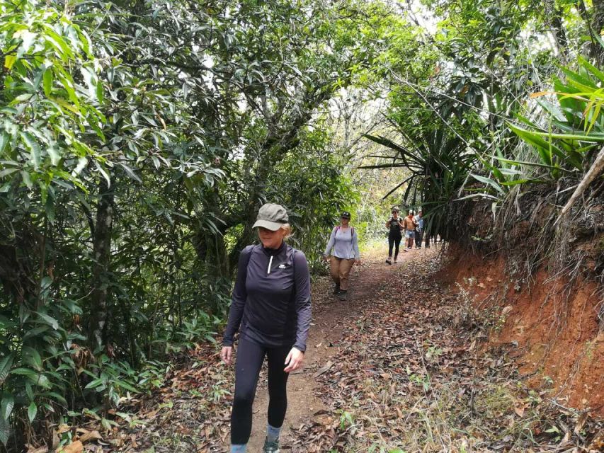 From Cusco: Budget Inca Jungle Trek With Return by Car - Duration and Group Size