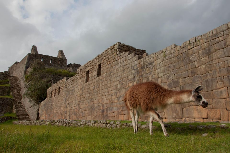 From Cusco: Excursion to Machu Picchu by Tourist Train - Common questions