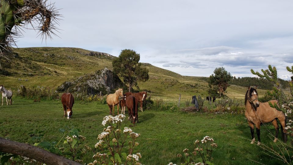 From Cusco: Huchuy Qosqo 2-Day Horse Riding Trip - Directions