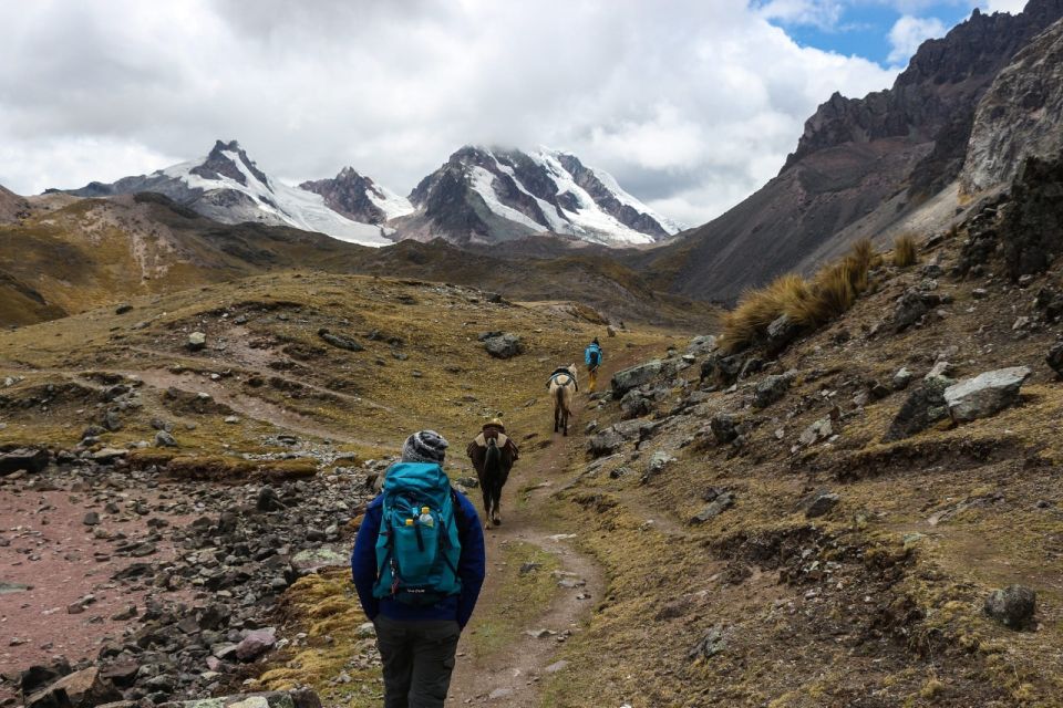 From Cusco: Rainbow Mountain Tour - Key Points