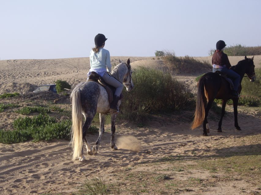 From Essaouira: 1-Hour Horse Ride With Sunset - Last Words
