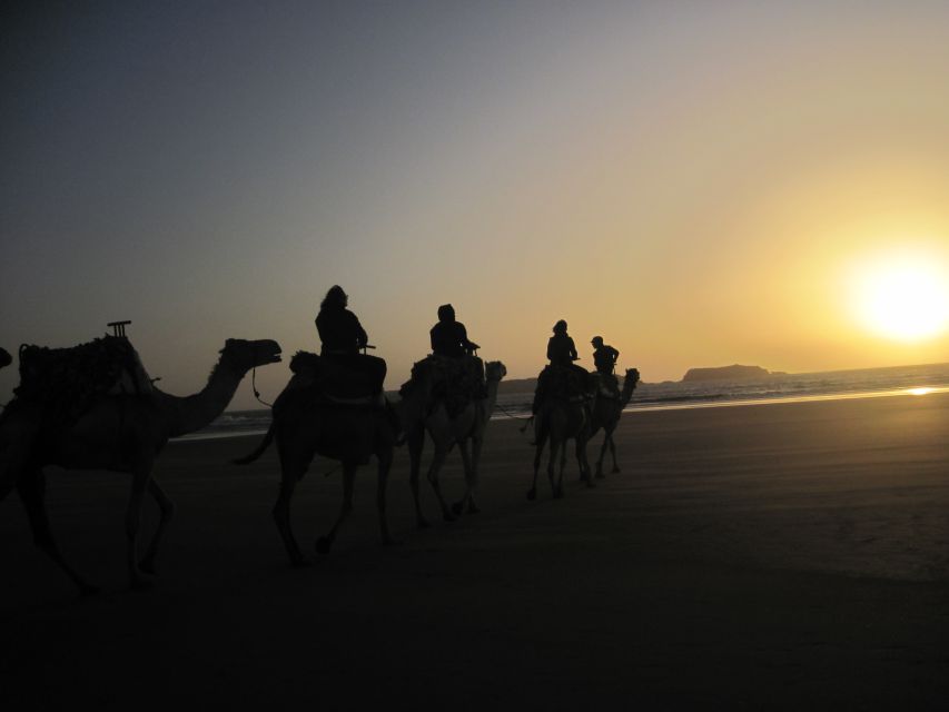 From Essaouira: Camel Tour With Overnight Stay in a Tent - Directions