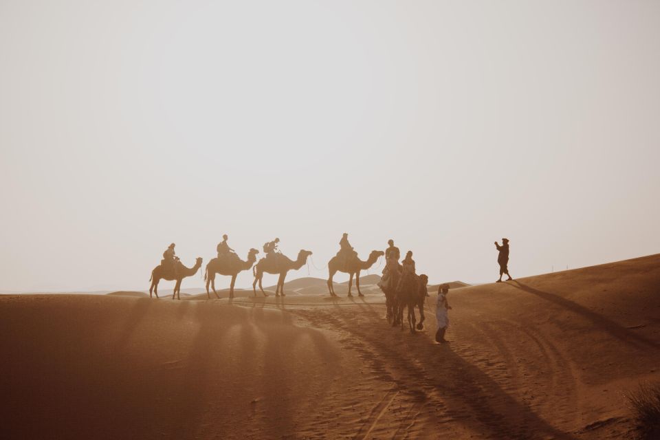 From Fes: 2 Days Sahara Tour With Camel Ride& Sandboarding - Customer Reviews and Ratings