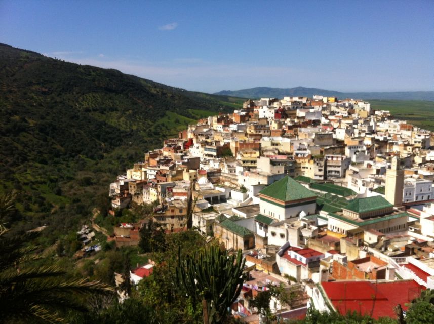 From Fes: Meknes Volubilis and Moulay Idriss Day Trip - Expert Local Guides